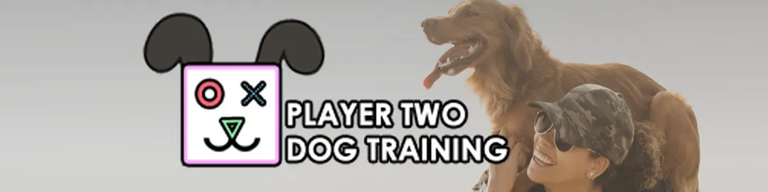 Player Two Dog Training