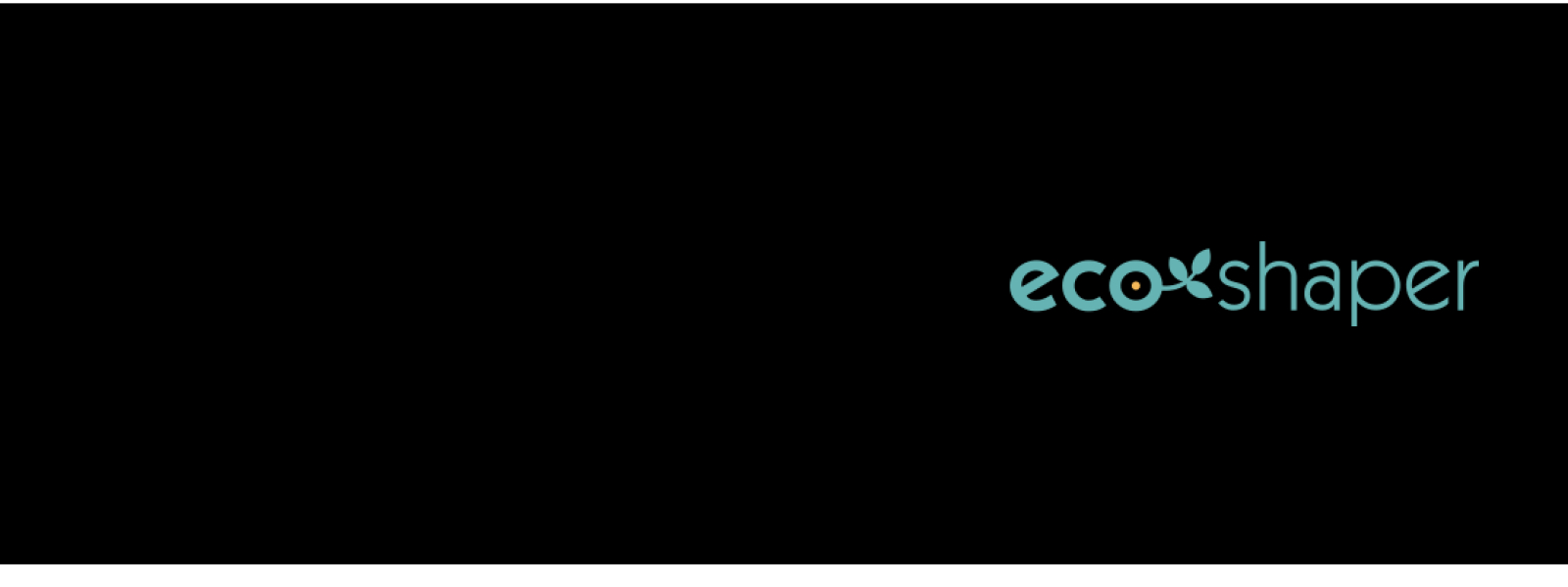 eco-shaper  EIS